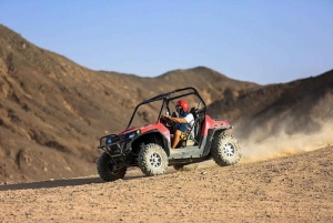 Sharm El-Sheikh: Excursão de um dia no deserto com tenda beduína e buggy