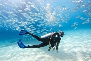 Sharm el-Sheikh: Beginners Diving Class and Dives with Lunch