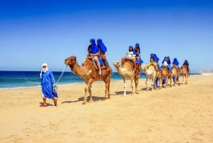 Sharm El-Sheikh: Blue Hole Canyon By Bus & ATV Quad & Camel