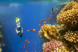 Sharm El Sheikh: Blue Hole & Canyon Dahab W/ Snorkeling