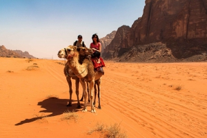 Sharm El Sheikh: Blue Hole Park Day Snorkeling Tour & Lunch