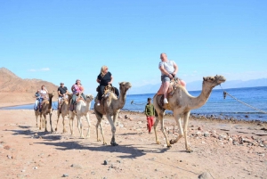 Sharm El Sheikh: Blue Hole & Salama Canyon Day Trip by Jeep