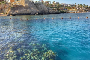 Sharm El-Sheikh: Blue Hole or 3 Pools Dahab Trip with Lunch