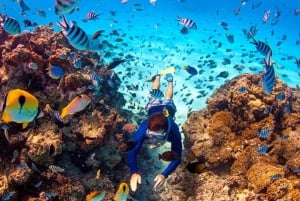Sharm El-Sheikh: Gita al Blue Hole o alle 3 piscine di Dahab con pranzo