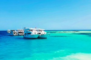 Sharm El Sheij: Crucero en barco a Ras Muhammed con almuerzo