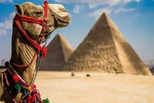 Sharm El Sheikh: Cairo and Giza 2-Day Trip with Pyramids