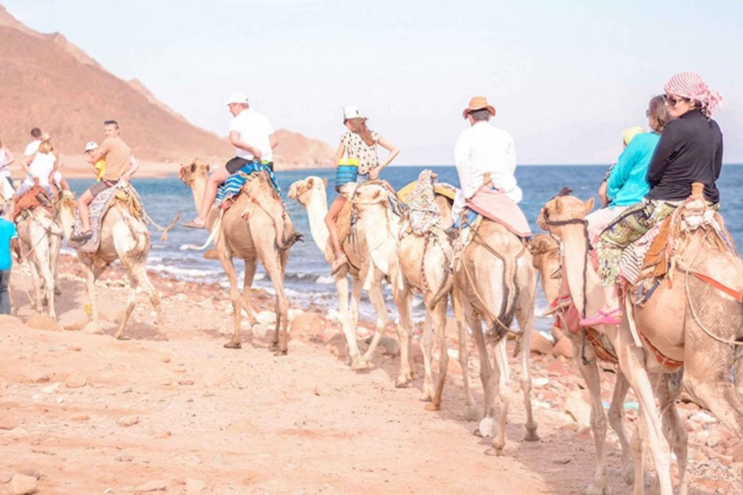 Sharm El Sheikh Camel Riding Safari Tour