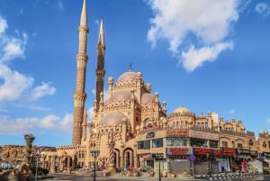 Sharm El-Sheikh: tour della città con pranzo a base di pesce opzionale