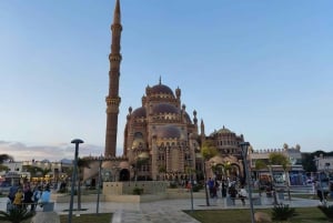 Sharm El-Sheikh: tour della città con pranzo a base di pesce opzionale