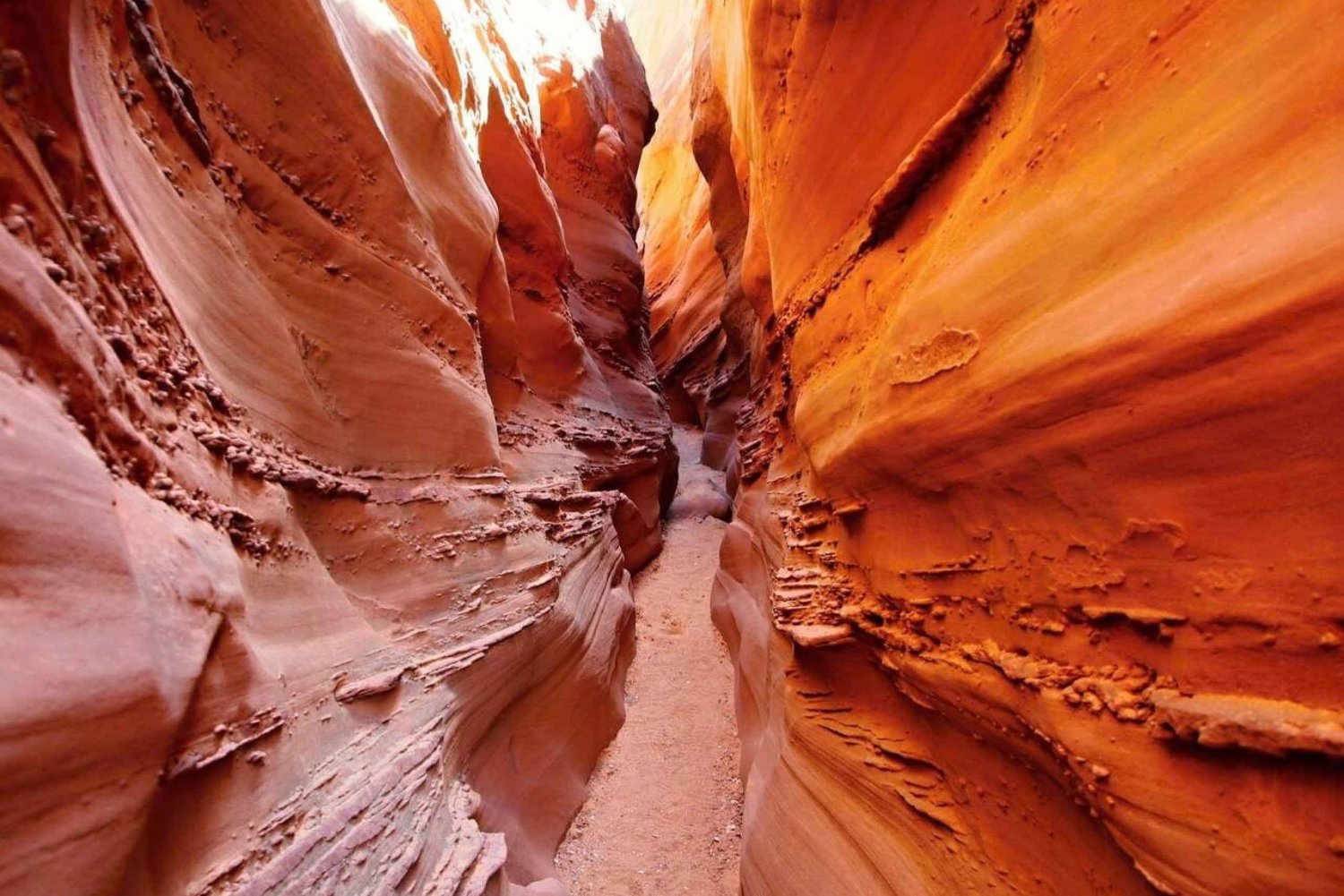 Sharm El Sheikh : Excursion d'une journée au Canyon coloré, au Trou bleu et à Dahab