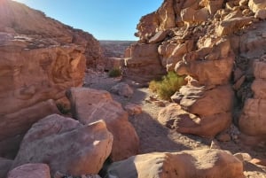 Dagtocht gekleurde canyon, blauwe gat & Dahab