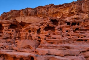 Sharm El Sheikh : Excursion d'une journée au Canyon coloré, au Trou bleu et à Dahab