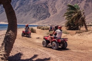 Sharm El Sheij Excursión de un día al Cañón Coloreado, Agujero Azul y Dahab