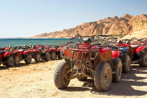 Sharm El Sheikh: Dahab, kanjon, kamel och snorkling Jeep Tour