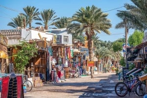 Sharm El Sheikh: Dahab, Canyon, Kameel en Snorkel Jeep Tour