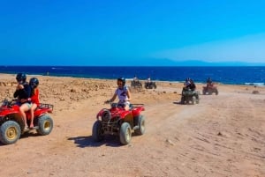 Sharm El Sheikh: Dahab, kanjon, kamel och snorkling Jeep Tour