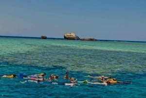 Sharm El Sheikh: Vela di un giorno verso l'Isola Bianca e Ras Mohamed