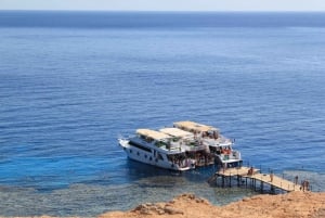 Sharm El Sheikh: Vela di un giorno verso l'Isola Bianca e Ras Mohamed