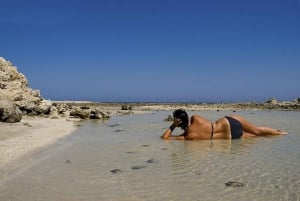 Sharm El Sheikh: Vela di un giorno verso l'Isola Bianca e Ras Mohamed