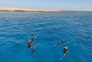 Sharm El Sheikh: Vela di un giorno verso l'Isola Bianca e Ras Mohamed