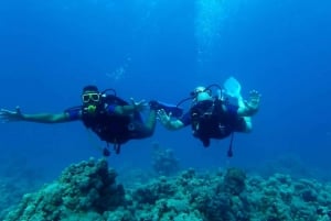 Sharm El Sheikh: Vela di un giorno verso l'Isola Bianca e Ras Mohamed