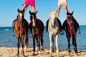 Sharm El Sheikh: paardrijden in de woestijn en aan zee met transfers