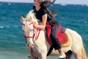 Sharm El Sheikh: paardrijden in de woestijn en aan zee met transfers