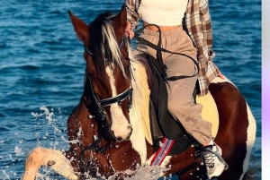 Sharm El Sheikh: paardrijden in de woestijn en aan zee met transfers