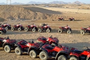 Sharm El Sheikh: Excursie woestijn en zeesport met lunch