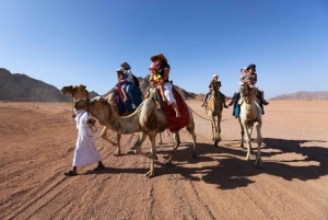 Sharm El Sheikh : Excursion sportive dans le désert et en mer avec déjeuner