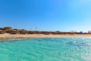 Sharm El Sheikh: Crociera sul Mar Rosso con cena e trasferimento