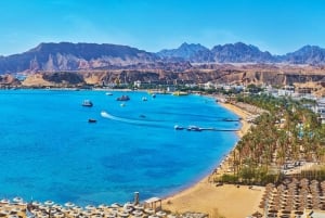 Sharm El Sheikh: Rode Zee Cruise met Zeevruchten Diner & Transfer