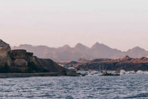 Sharm El Sheikh: Seafood Dinner Cruise on the Red Sea