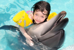 Sharm El-Sheikh: Dolphin Show with Hotel Transfer