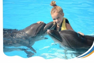 Sharm El-Sheikh: Dolphin Show with Hotel Transfer