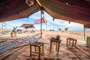 Sharm El Sheikh: Dune Buggy, Horse & Camel Ride w Breakfast