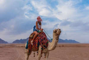 Sharm el-Sheikh: Dune Buggy Safari, Camel Ride & BBQ Dinner
