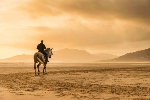 Sharm El Sheikh: Exciting 1 Hour Horseback Riding Adventure