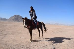 Sharm El Sheikh: Exciting 1 Hour Horseback Riding Adventure