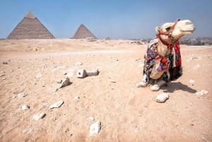 Sharm El-Sheikh: Excursão de 1 dia ao Cairo e às Pirâmides de ônibus