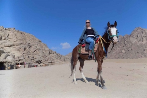 Sharm El Sheikh: Horse Ride Along The Coast with Transfers