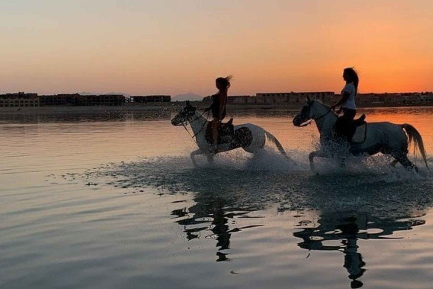 Sharm El-Sheikh : Horse Riding on the Beach