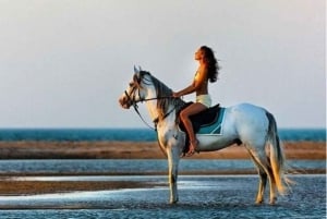 Sharm El-Sheikh: Paseos a caballo por la playa