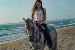 Sharm El-Sheikh: Paseos a caballo por la playa