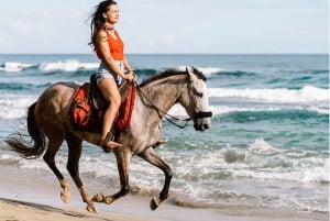 Sharm El-Sheikh: Paseos a caballo por la playa