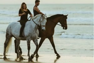 Sharm El-Sheikh: Paseos a caballo por la playa