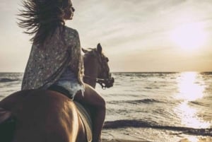 Sharm El-Sheikh : Horse Riding on the Beach