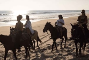 Sharm El-Sheikh : Horse Riding on the Beach