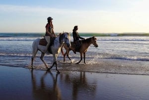 Sharm El-Sheikh : Horse Riding on the Beach