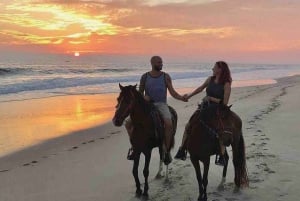 Sharm El-Sheikh : Horse Riding on the Beach